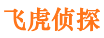 疏附私家调查公司